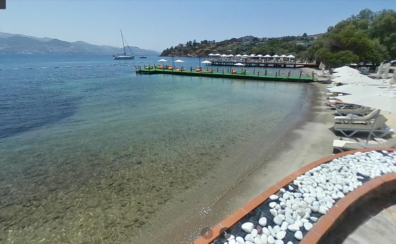 Avantgarde hotel beach'in fotoğrafı kısa ve düz ile birlikte