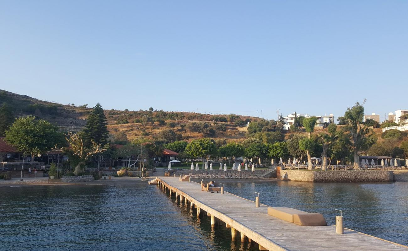 Mufla Beach'in fotoğrafı açık bej kum yüzey ile