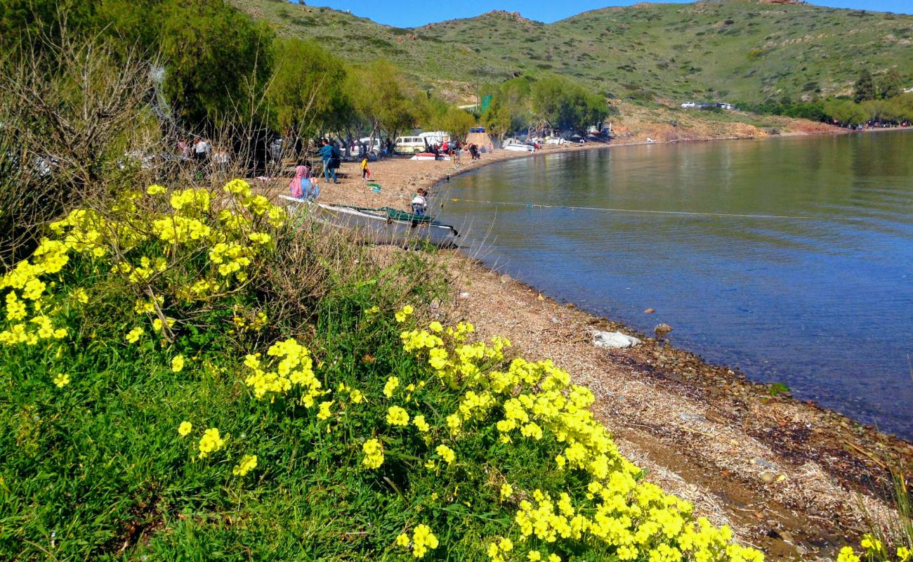 Mufla Beach II'in fotoğrafı bej kum ve çakıl yüzey ile