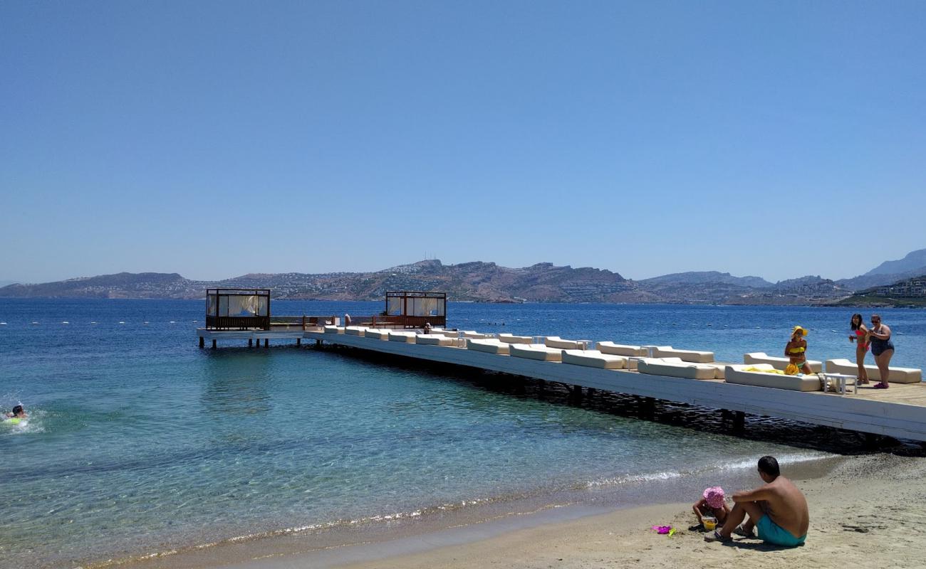 Dodo Plajı'in fotoğrafı i̇nce bej kum yüzey ile
