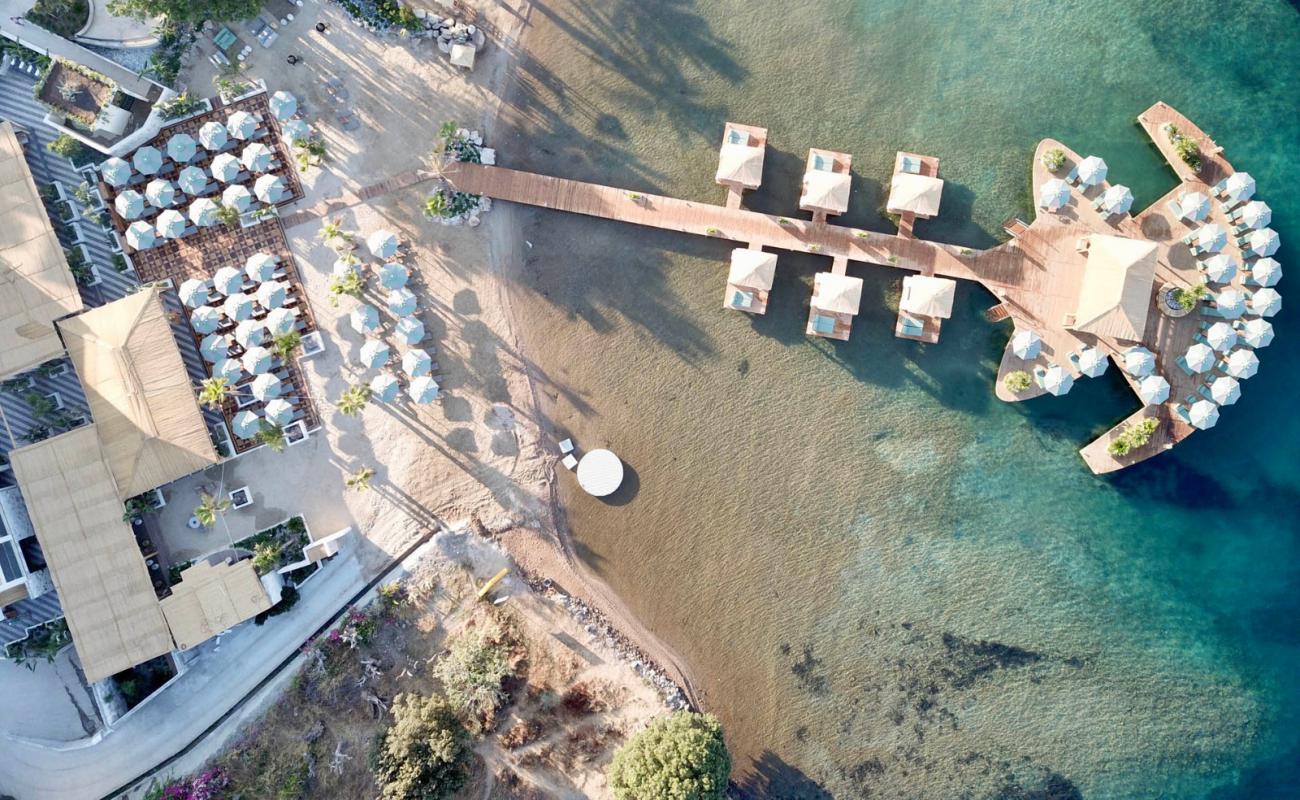 D'Plaj Plajı'in fotoğrafı i̇nce bej kum yüzey ile