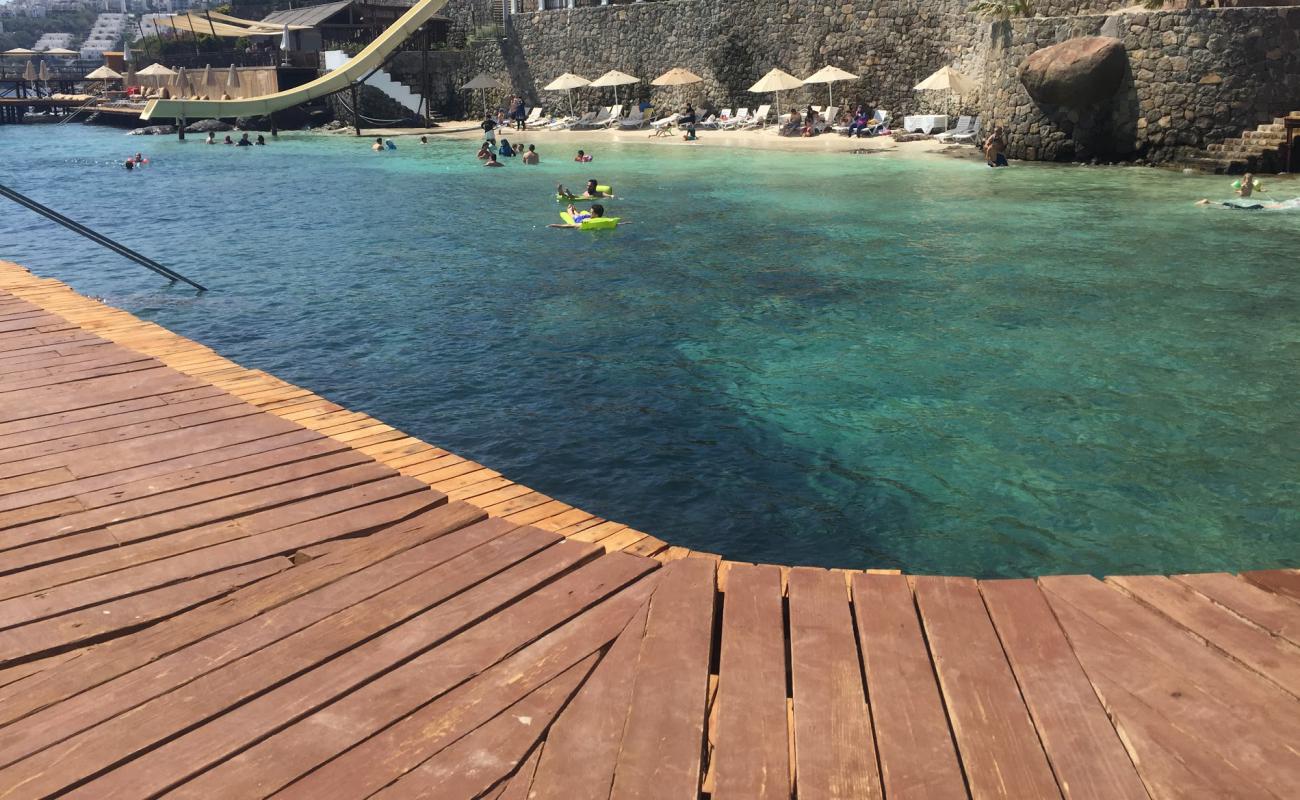 Bvs Bosphorus Resort'in fotoğrafı beton kaplı yüzey yüzey ile