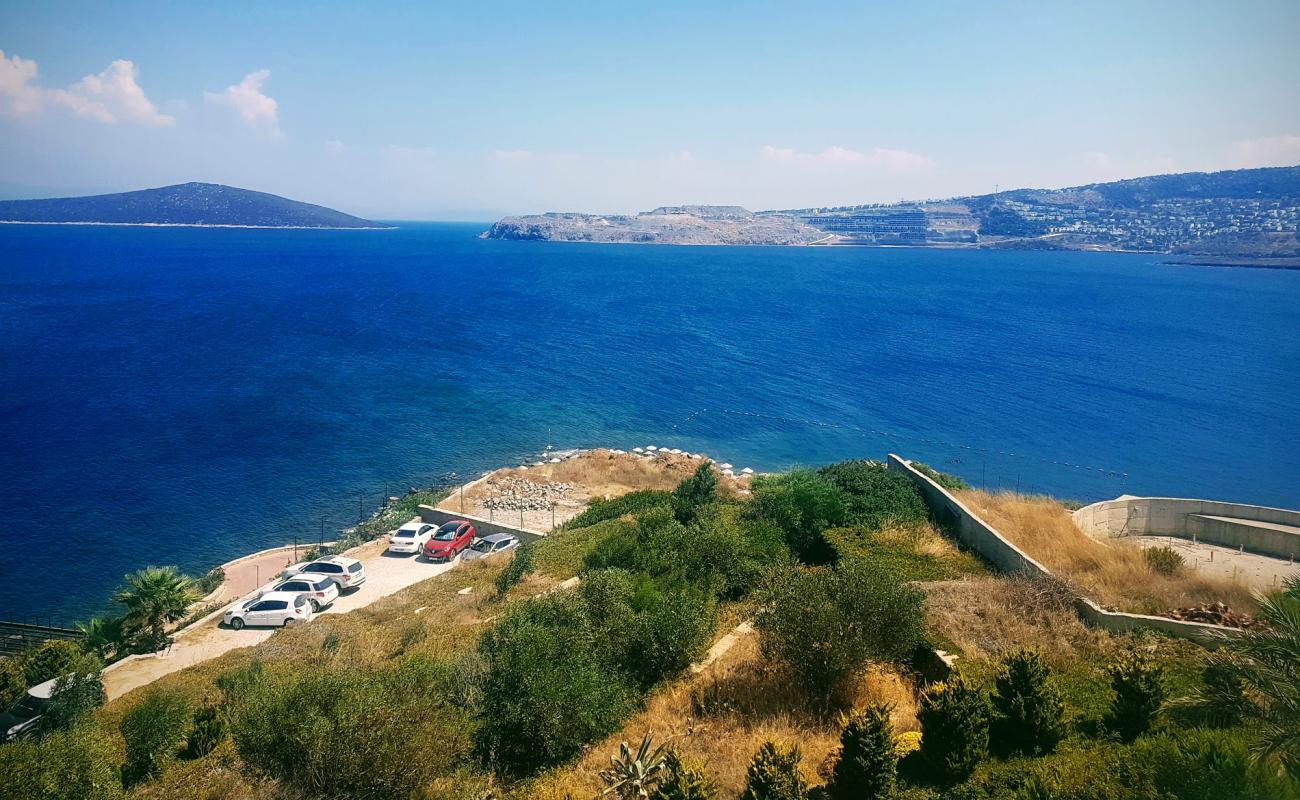 Gundogan Beach II'in fotoğrafı doğrudan plaj ile birlikte