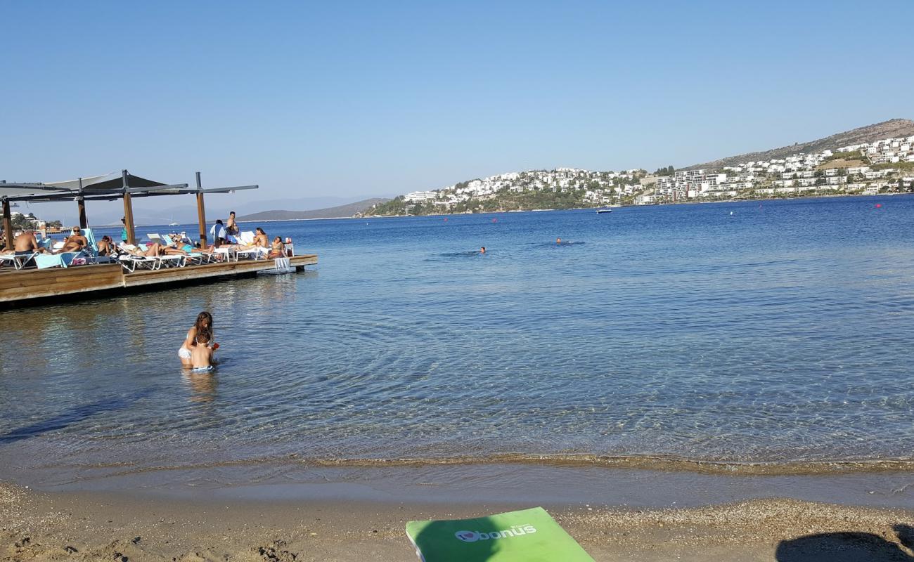 Seba Farilya Beach'in fotoğrafı gri kum yüzey ile