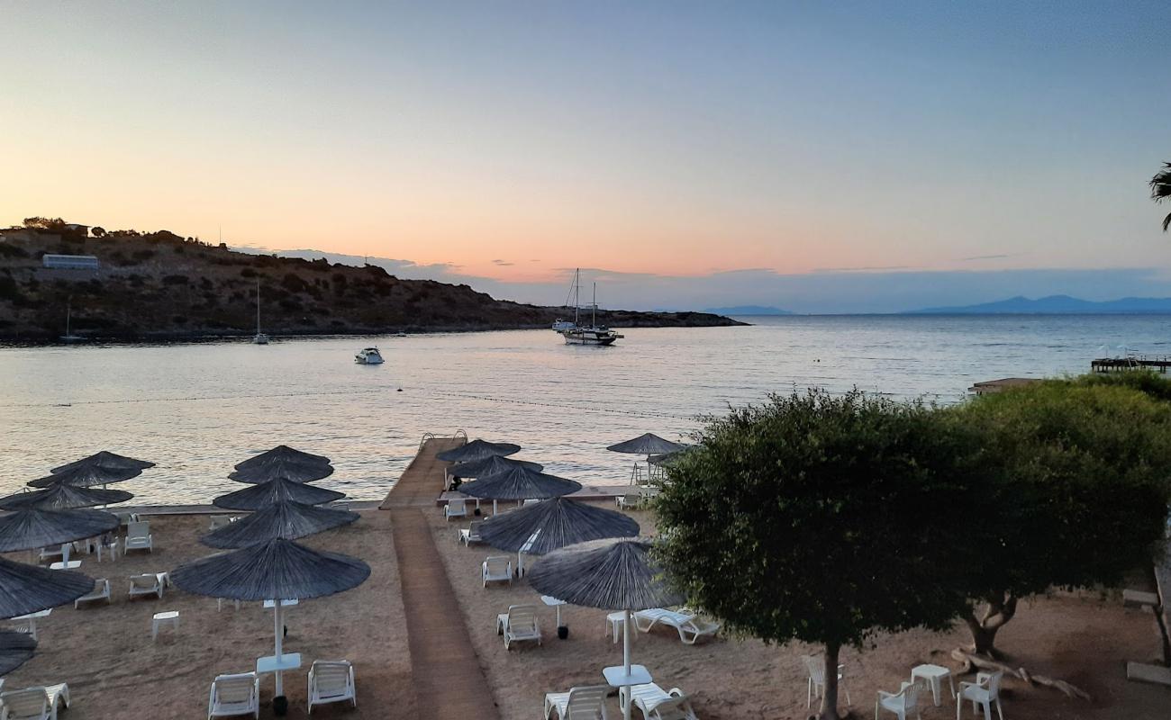 Hotel beach'in fotoğrafı beton kaplı yüzey yüzey ile