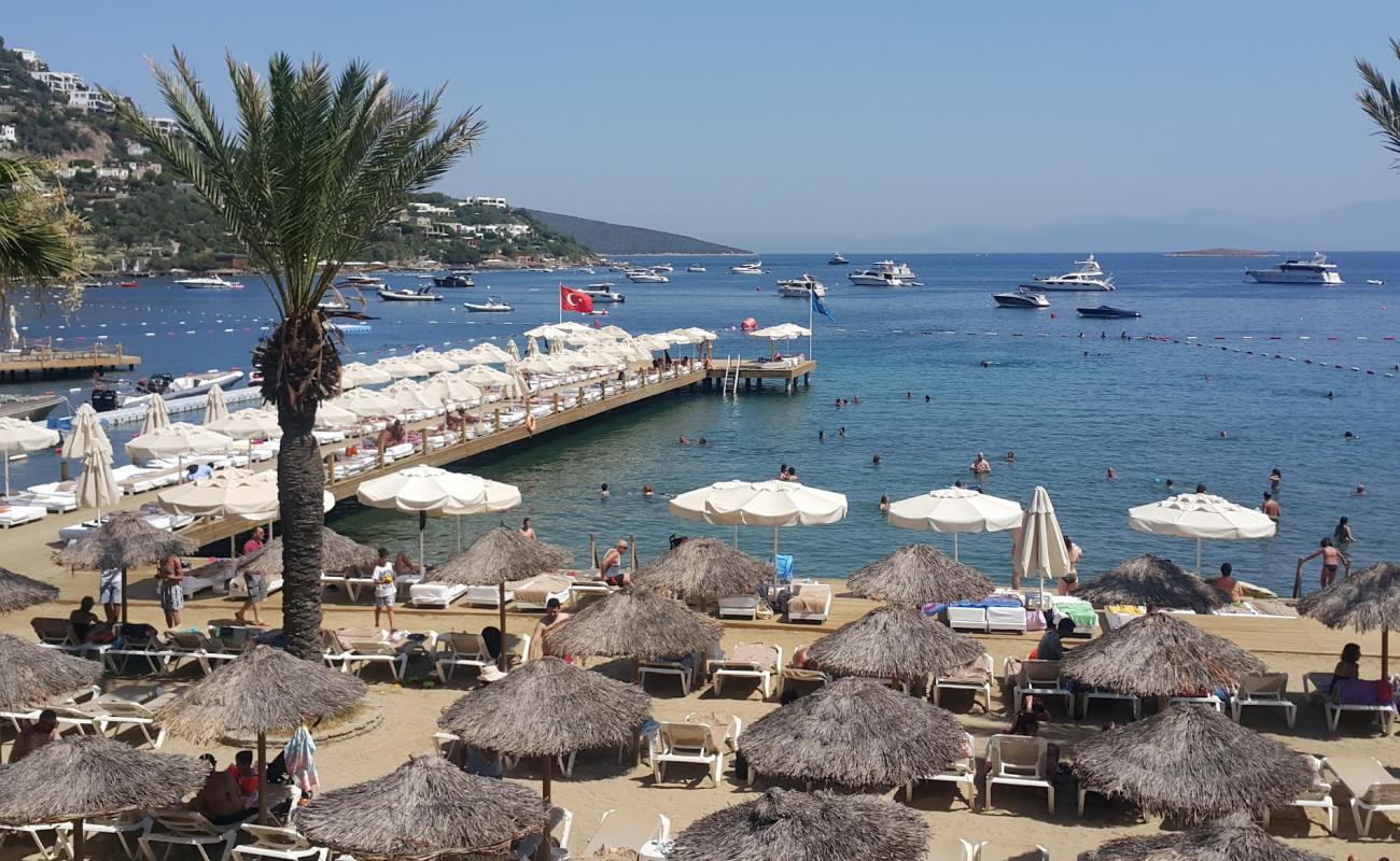 Les Sables Beach'in fotoğrafı beton kaplı yüzey yüzey ile
