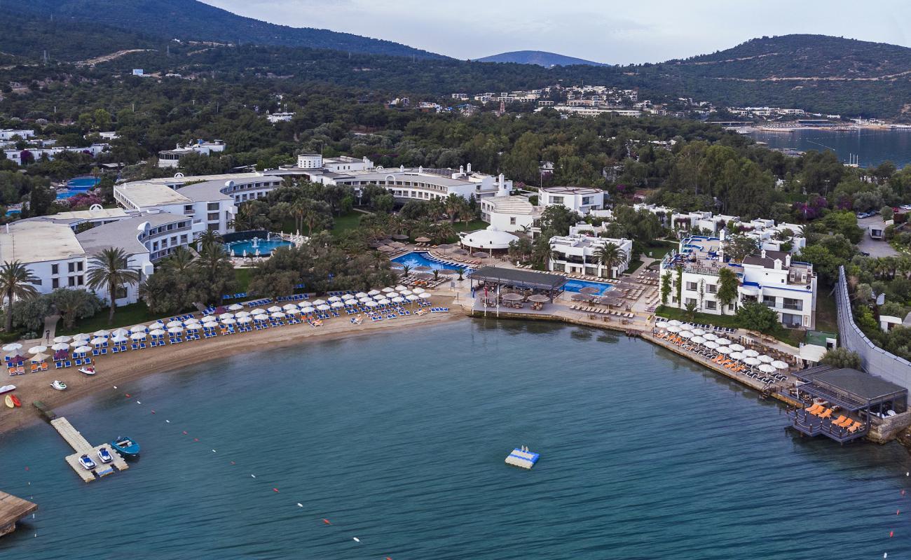 Samara Hotel Beach'in fotoğrafı parlak ince kum yüzey ile