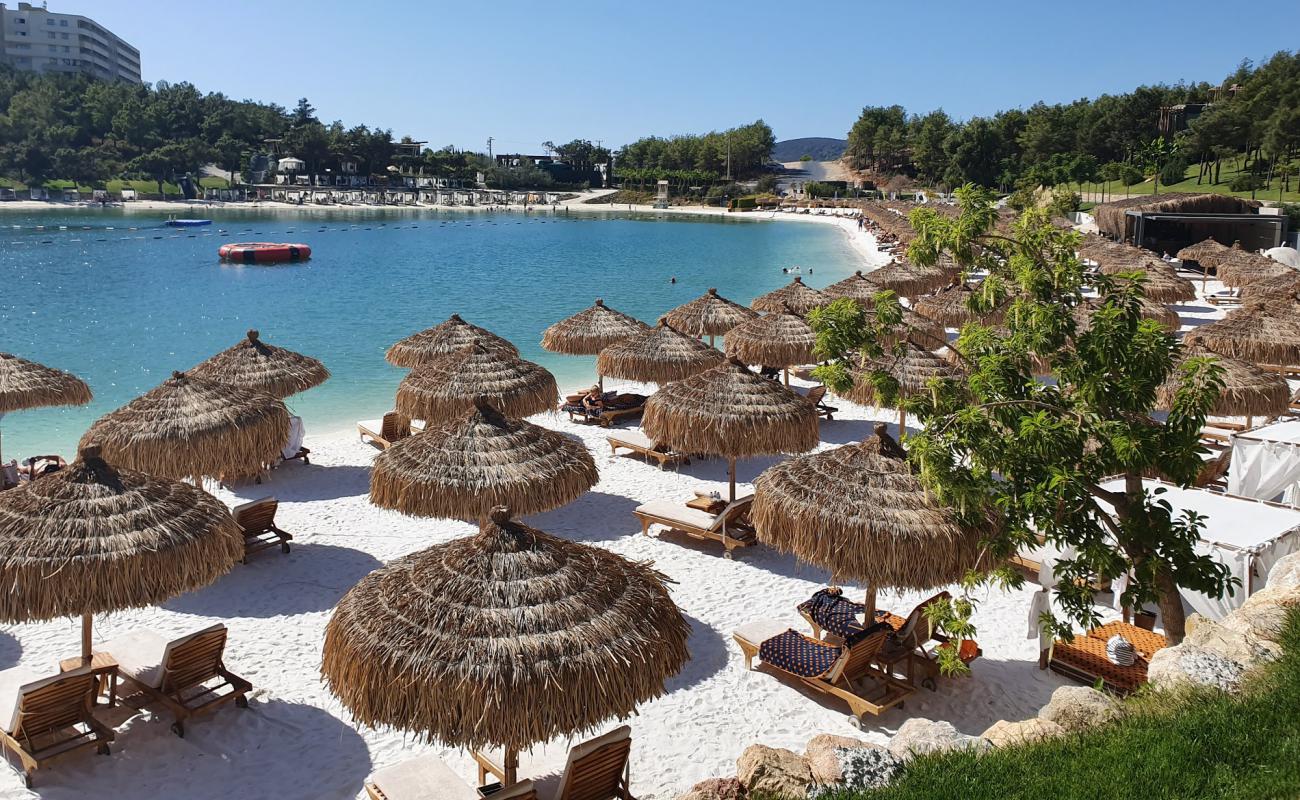 Lujo Bodrum Beach'in fotoğrafı parlak ince kum yüzey ile