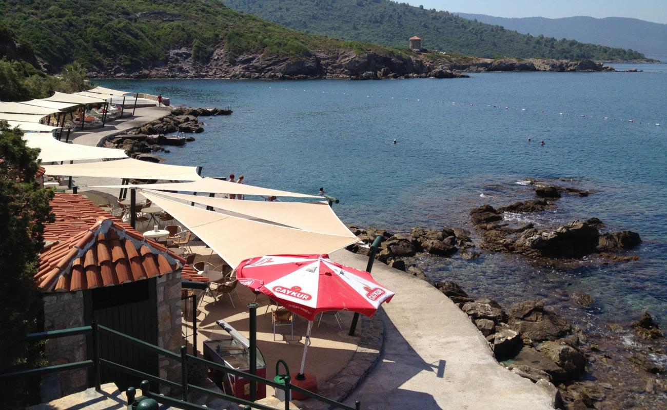 Le Meridien Beach II'in fotoğrafı beton kapak yüzey ile