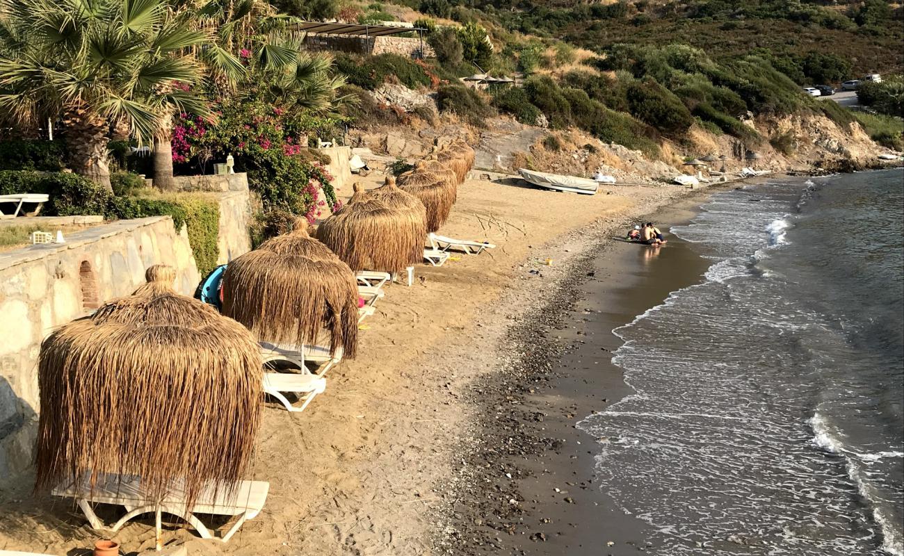 Filiz Cd. beach'in fotoğrafı parlak kum yüzey ile