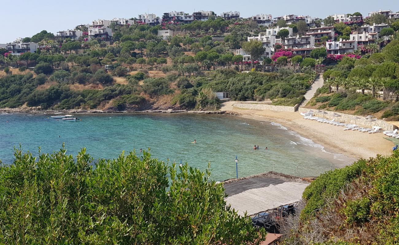 Feza Beach'in fotoğrafı parlak kum yüzey ile