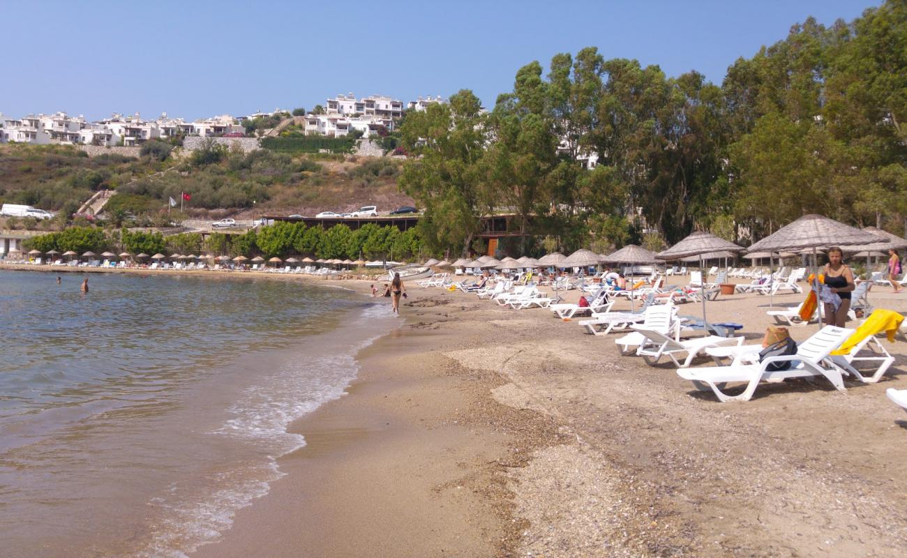 Basko Beach'in fotoğrafı parlak kum yüzey ile