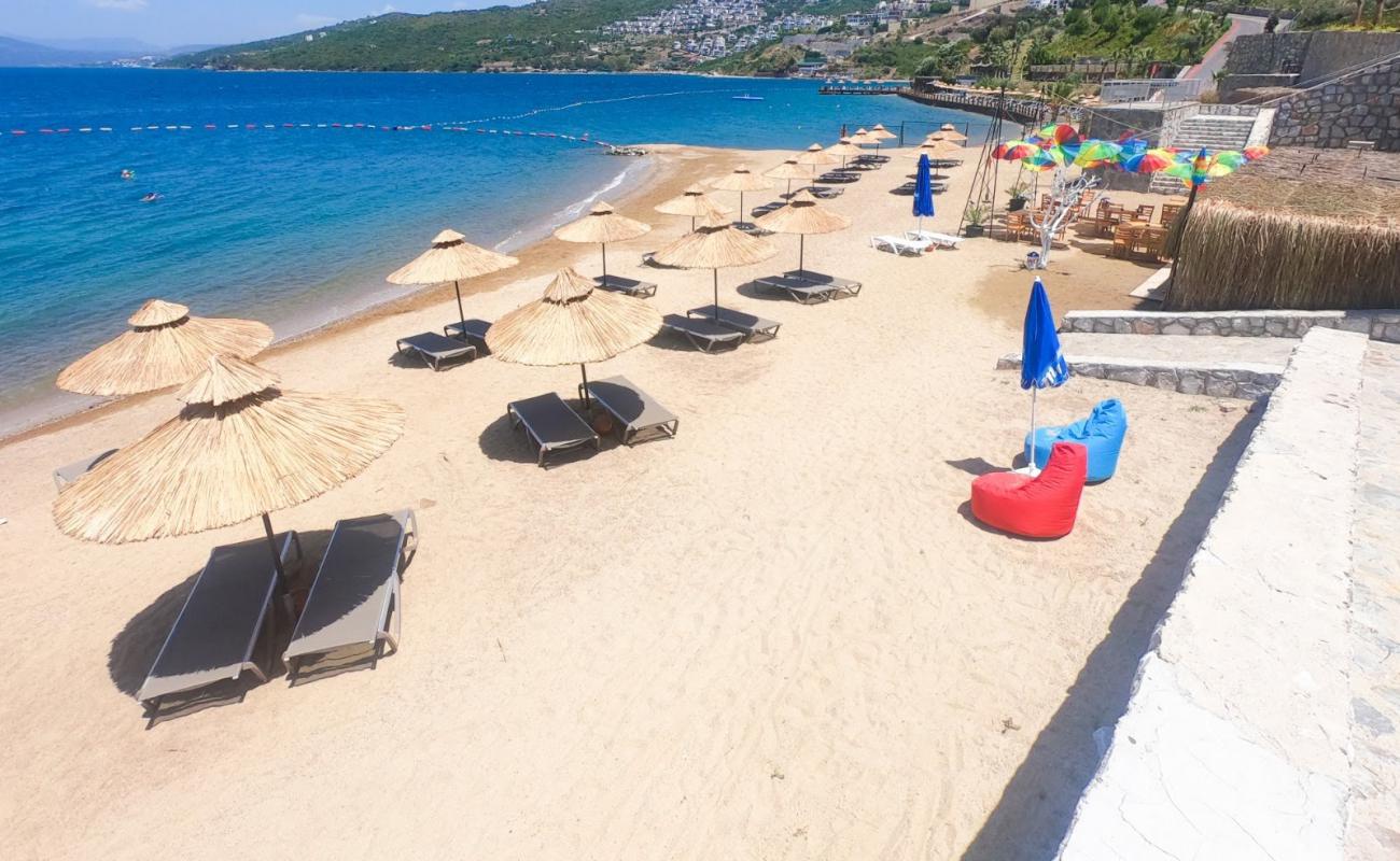 Fabay Homes Beach'in fotoğrafı parlak ince kum yüzey ile