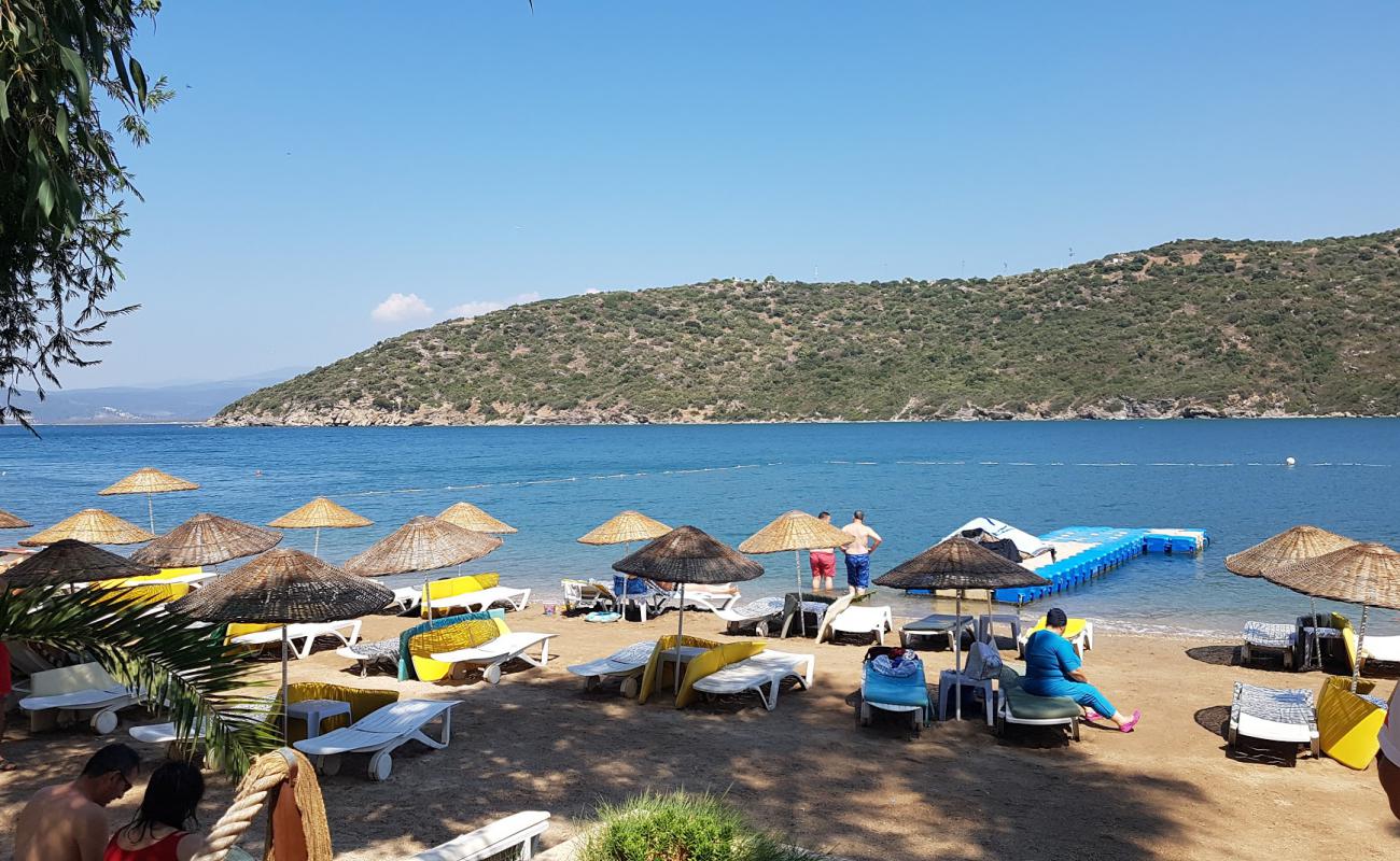 Yelken Beach'in fotoğrafı parlak ince kum yüzey ile