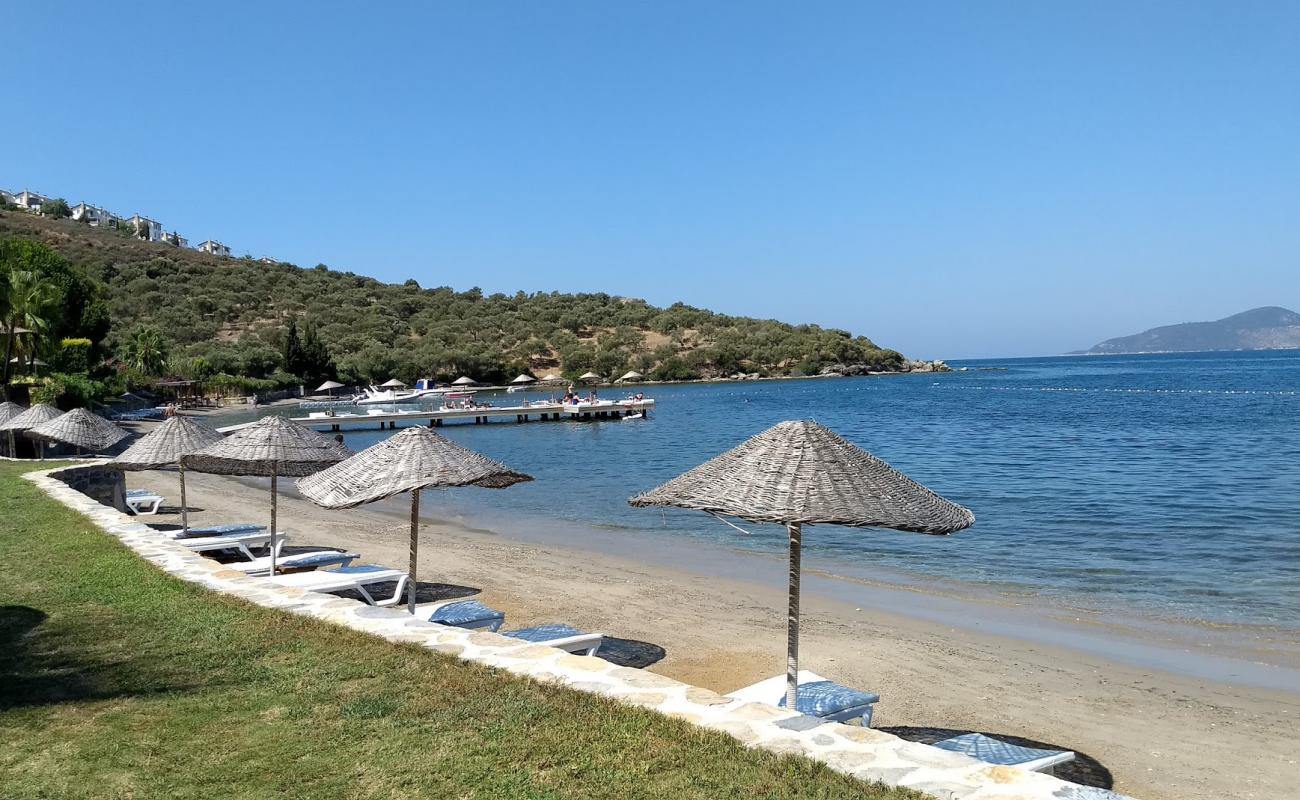 Medd-inn Hotel Beach'in fotoğrafı parlak ince kum yüzey ile