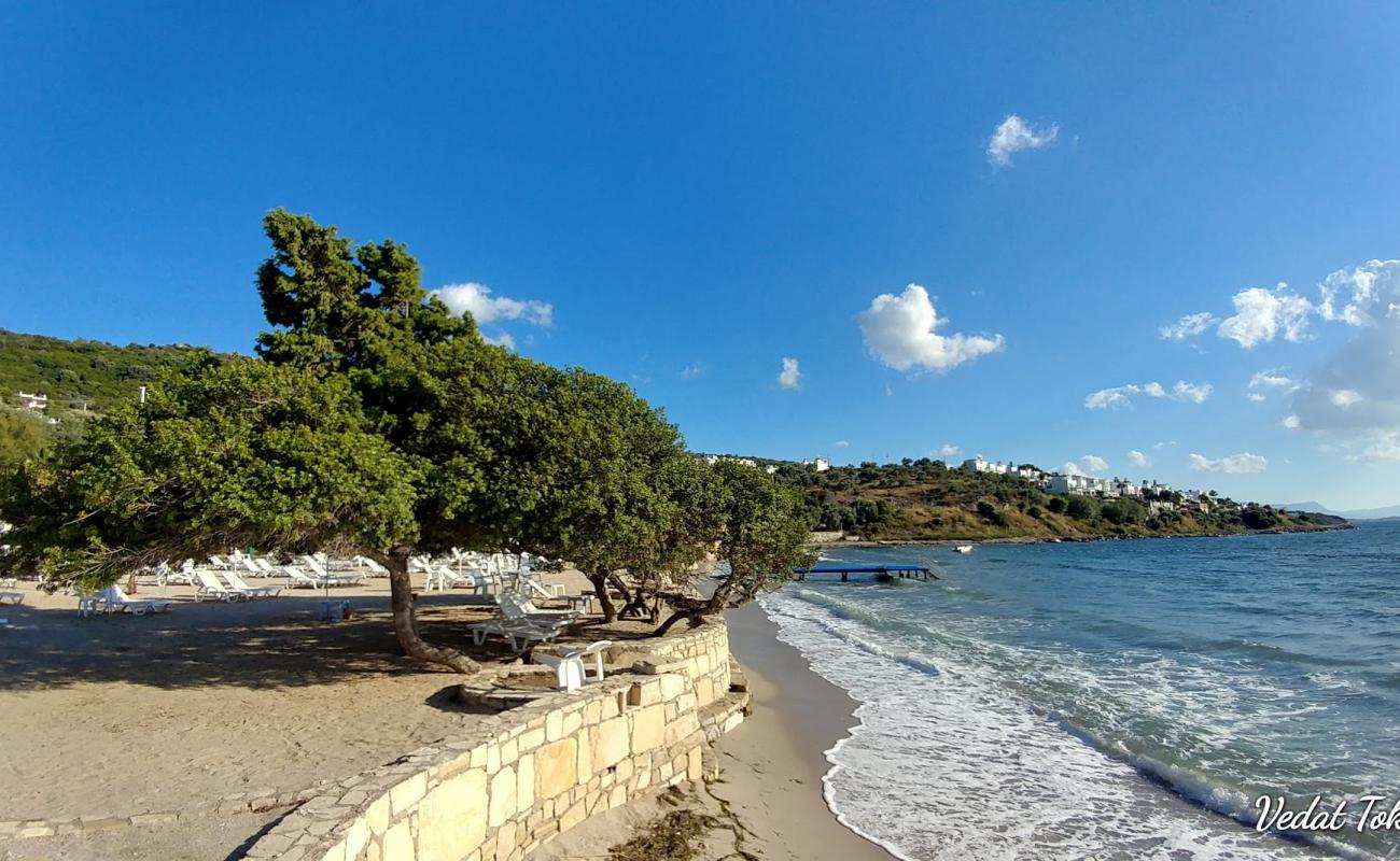 Urga Beach II'in fotoğrafı küçük koy ile birlikte