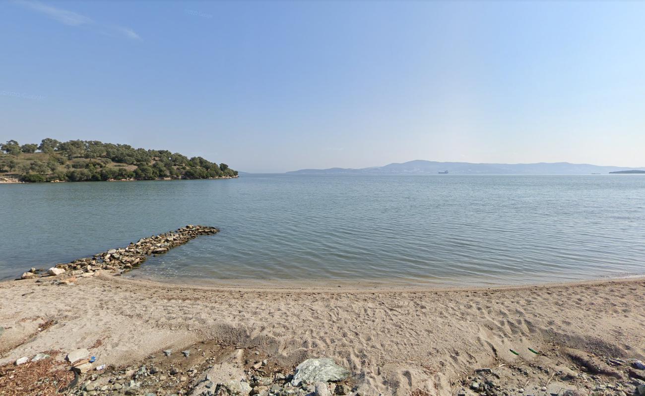 Ceyar Beach'in fotoğrafı turkuaz saf su yüzey ile