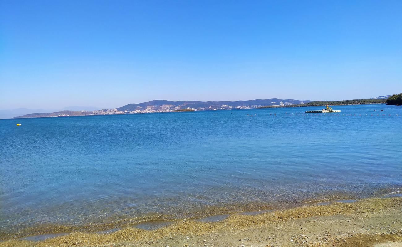 Iassos beach'in fotoğrafı parlak kum ve kayalar yüzey ile