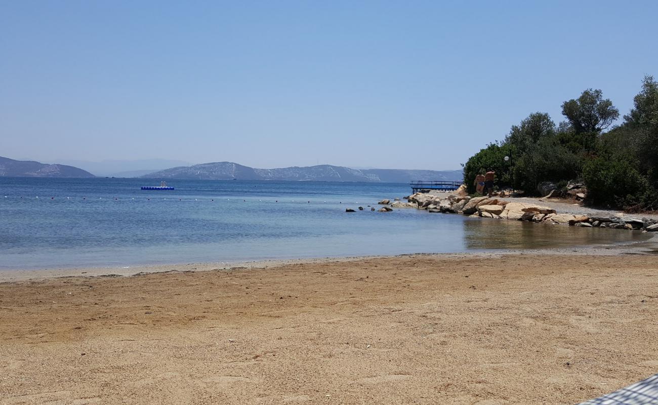 Tepeköy Cd. beach'in fotoğrafı çakıl ile kum yüzey ile