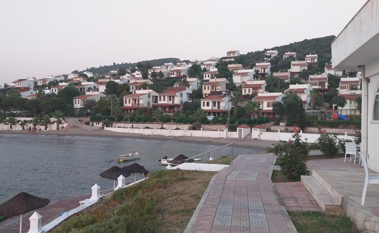 Bastur Beach V'in fotoğrafı parlak kum yüzey ile