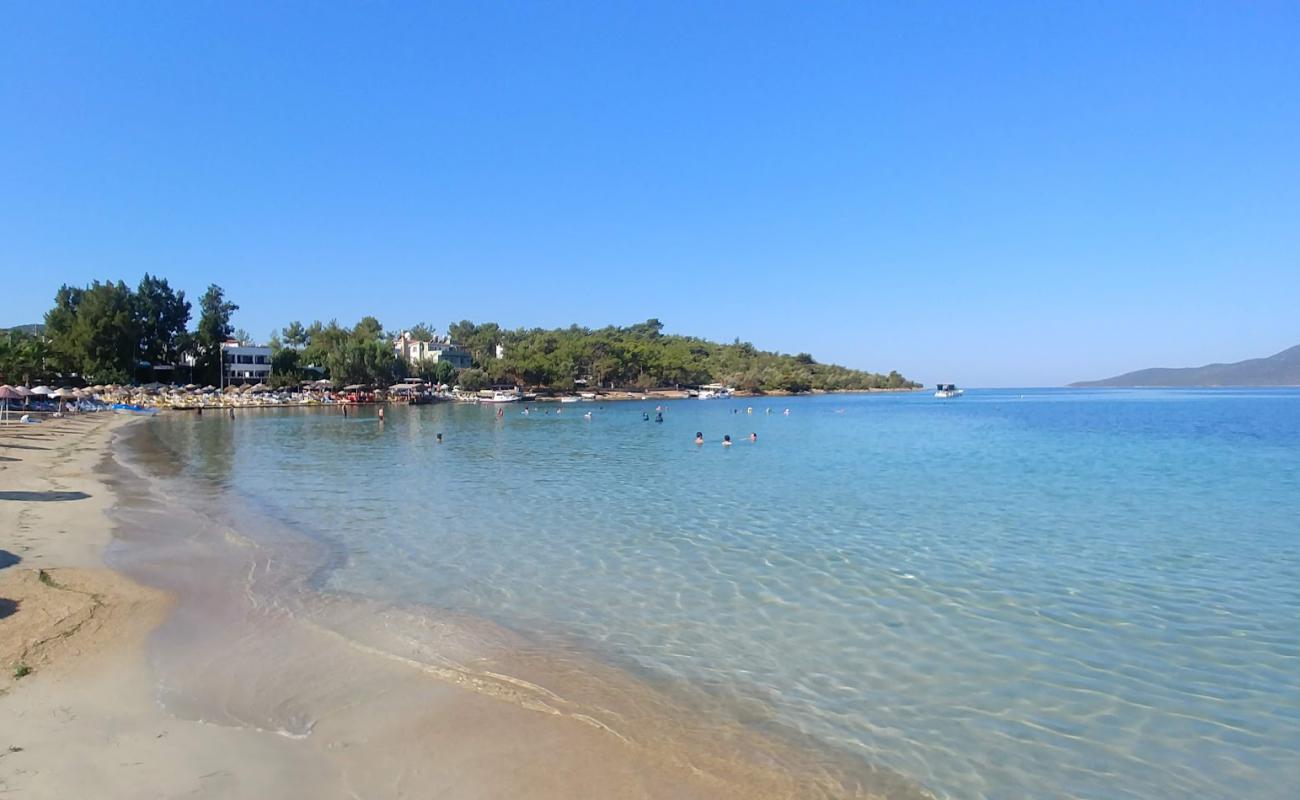 Zeytinli Beach'in fotoğrafı parlak kum yüzey ile