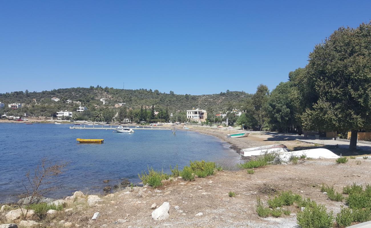 Zeytinli Beach II'in fotoğrafı parlak kum yüzey ile