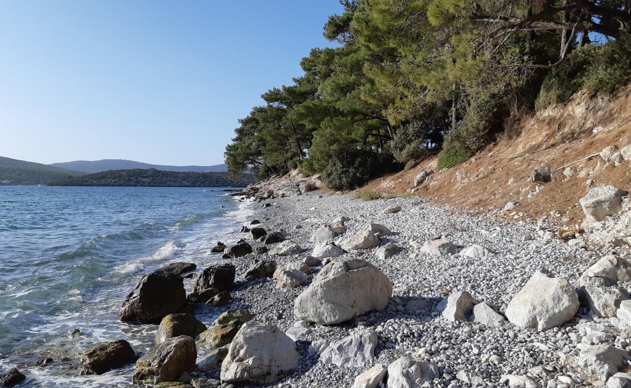 Gurchamlar beach III'in fotoğrafı kayalık arazi yüzey ile