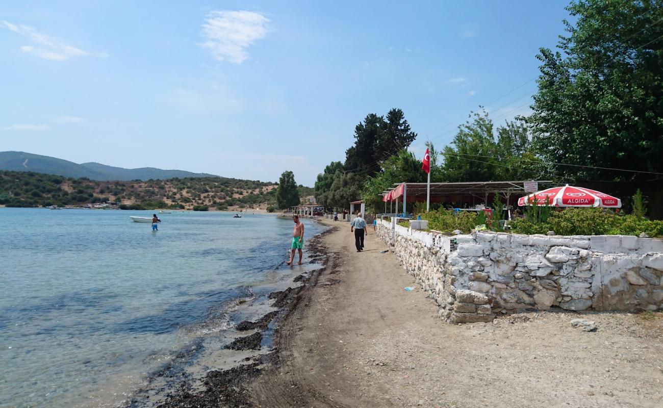 Gurchamlar beach'in fotoğrafı çakıl ile kum yüzey ile