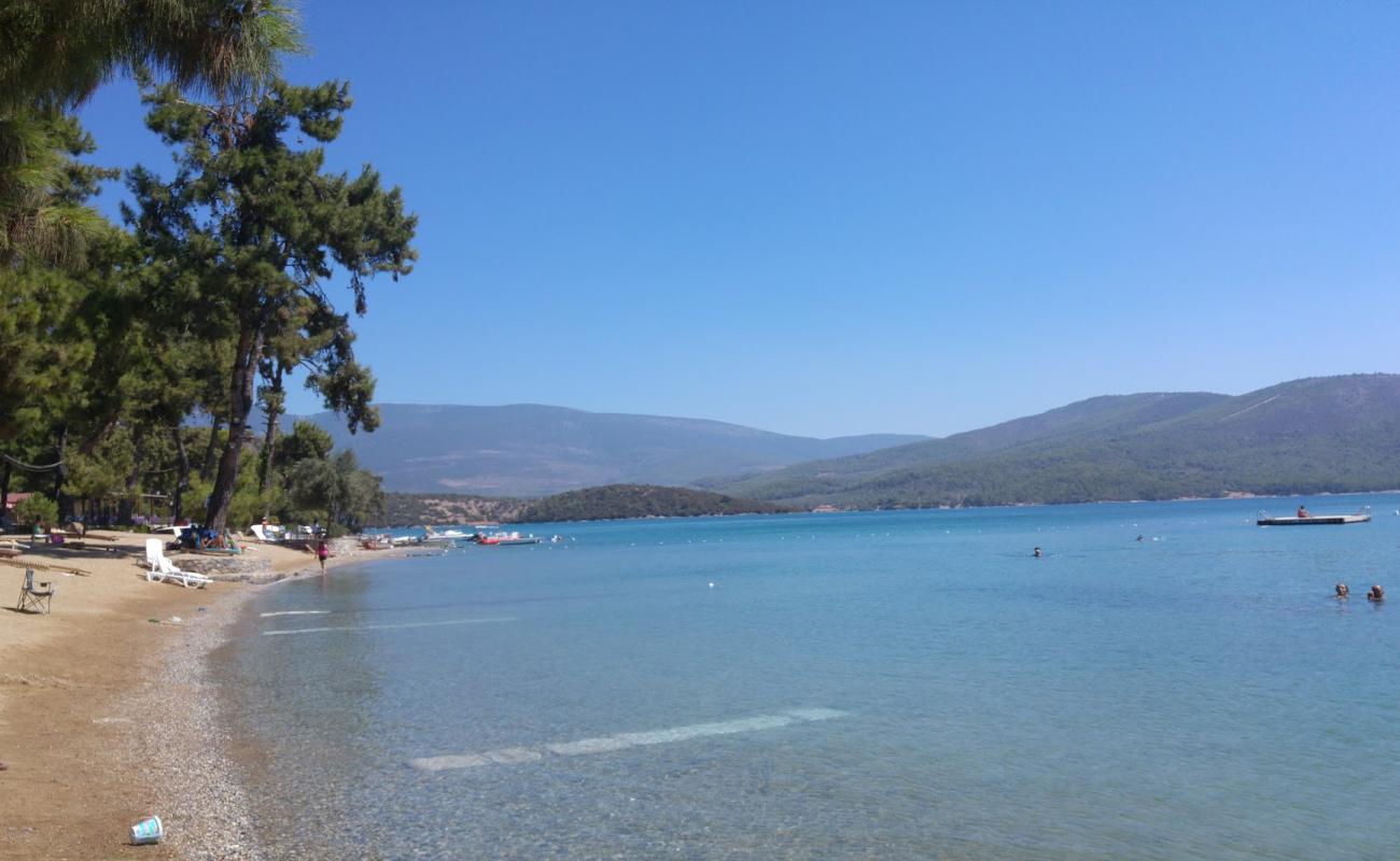 Yesil Beach'in fotoğrafı hafif çakıl yüzey ile