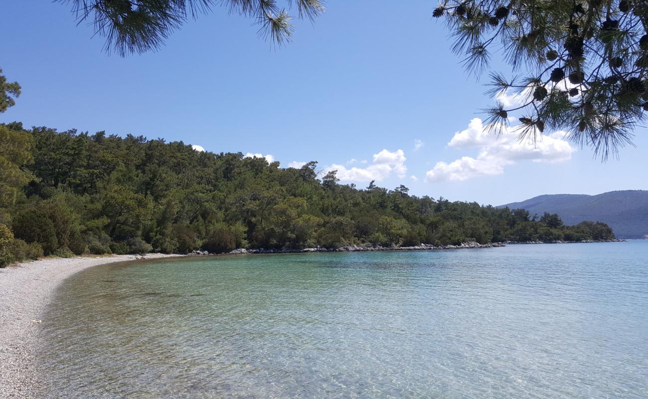 Iron Cove Beach'in fotoğrafı bej çakıl yüzey ile