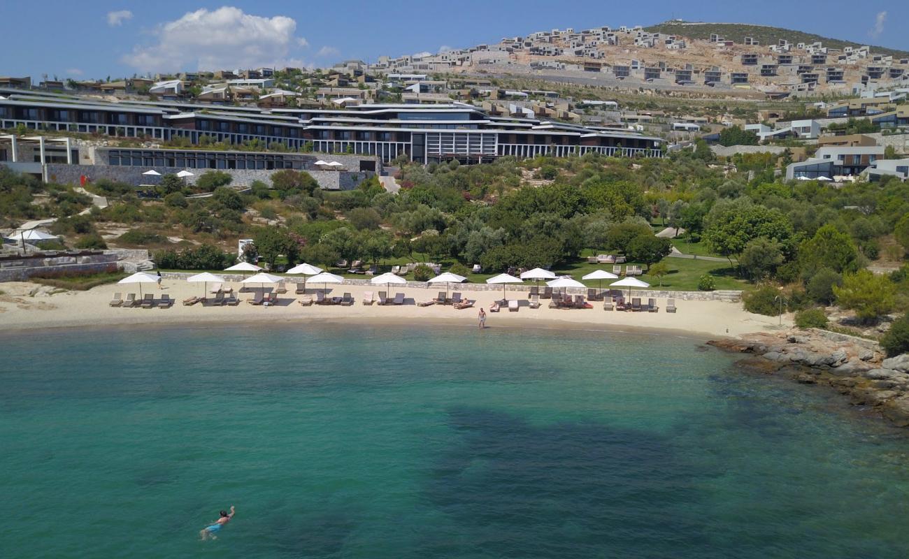 Six Senses Plajı II'in fotoğrafı otel alanı