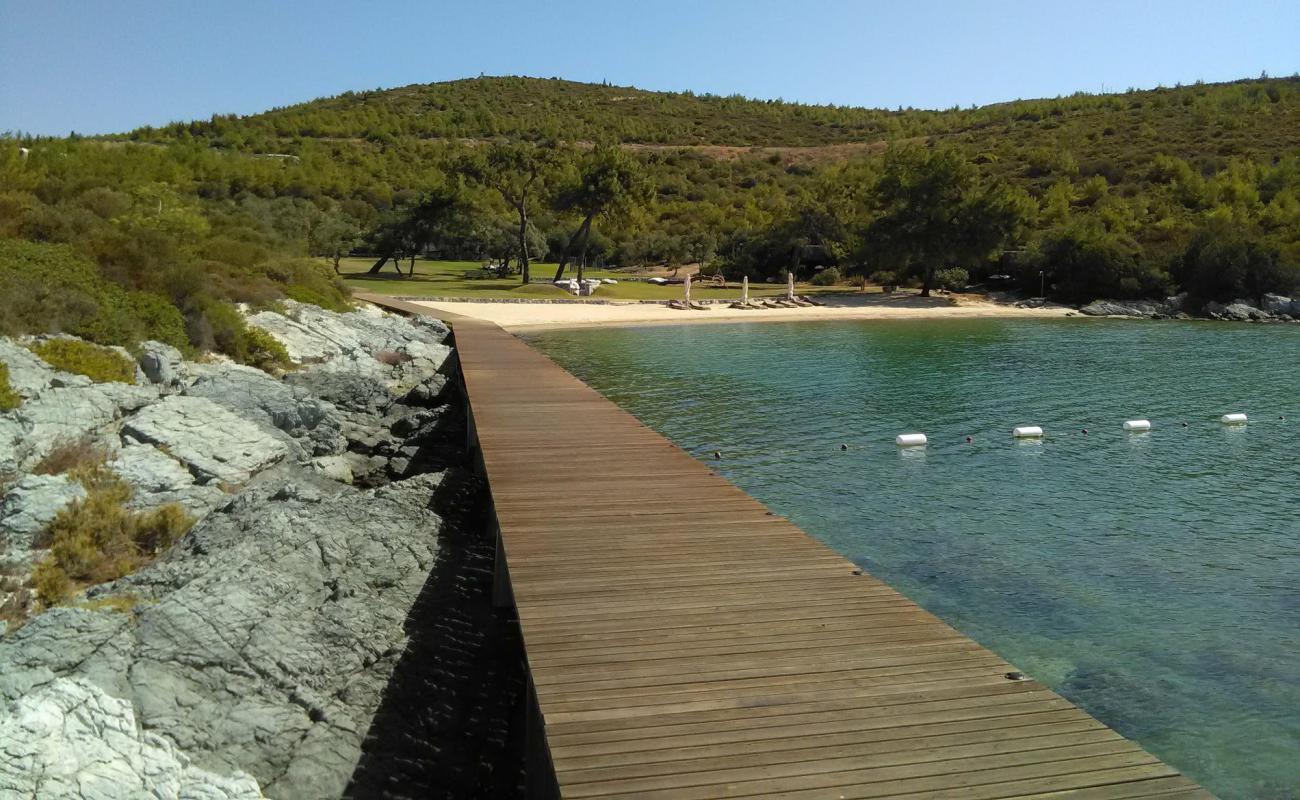 Airship Bay'in fotoğrafı parlak kum yüzey ile