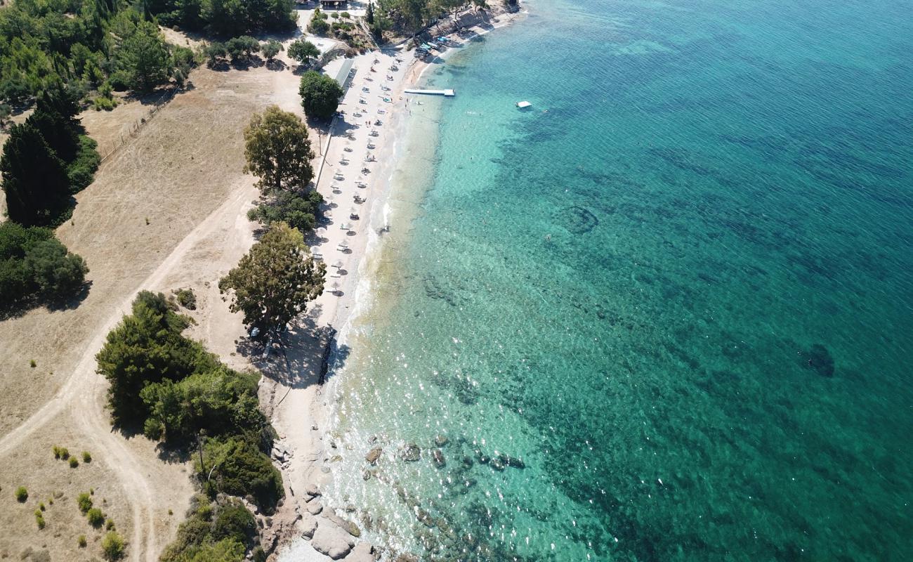 Lalekent Beach'in fotoğrafı parlak kum yüzey ile