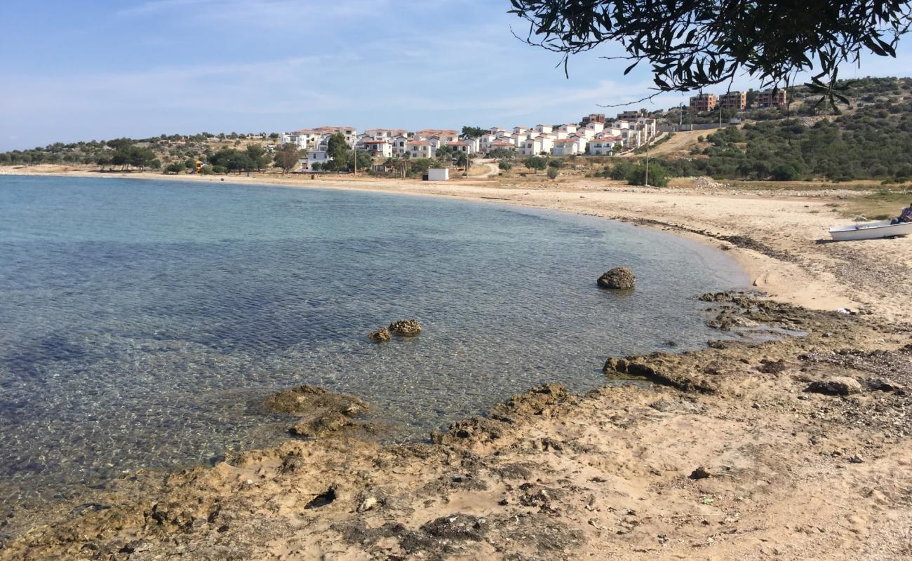 Incekum Beach'in fotoğrafı parlak kum yüzey ile