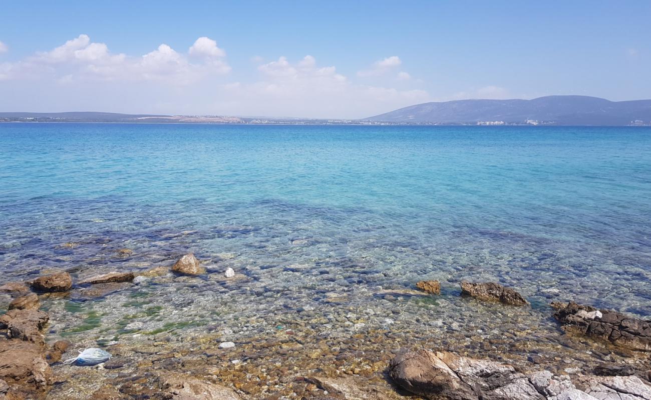 Empty Beach'in fotoğrafı taşlar yüzey ile