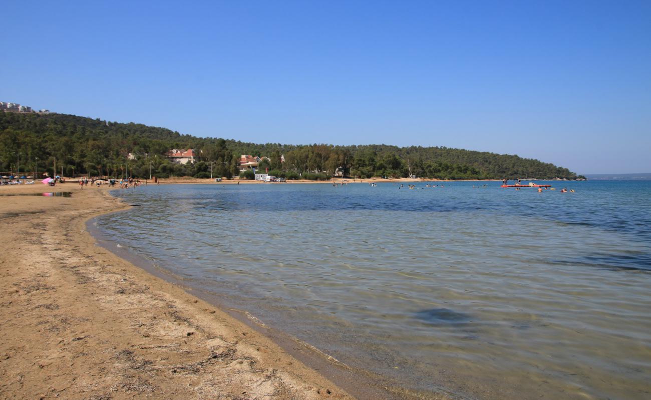 Esinti Plaji'in fotoğrafı kahverengi kum yüzey ile