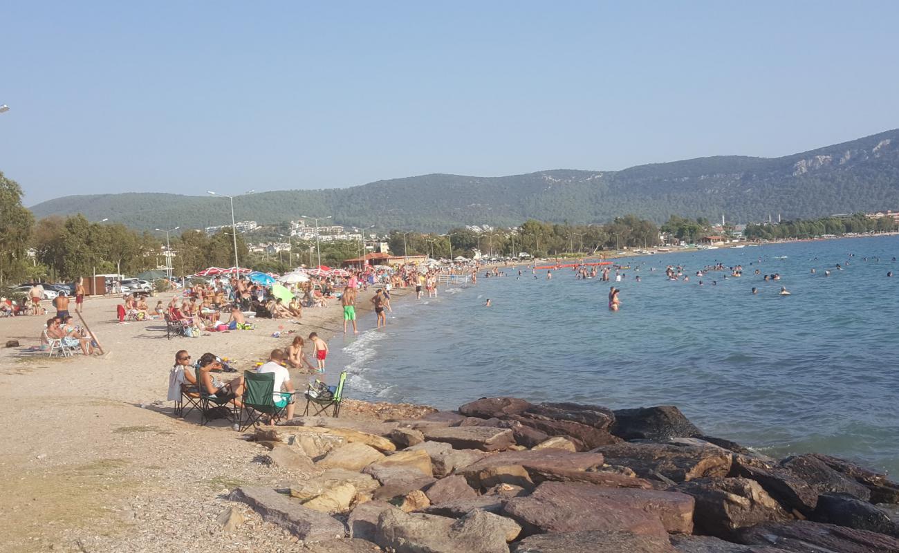 Gulkent beach'in fotoğrafı çakıl ile kum yüzey ile