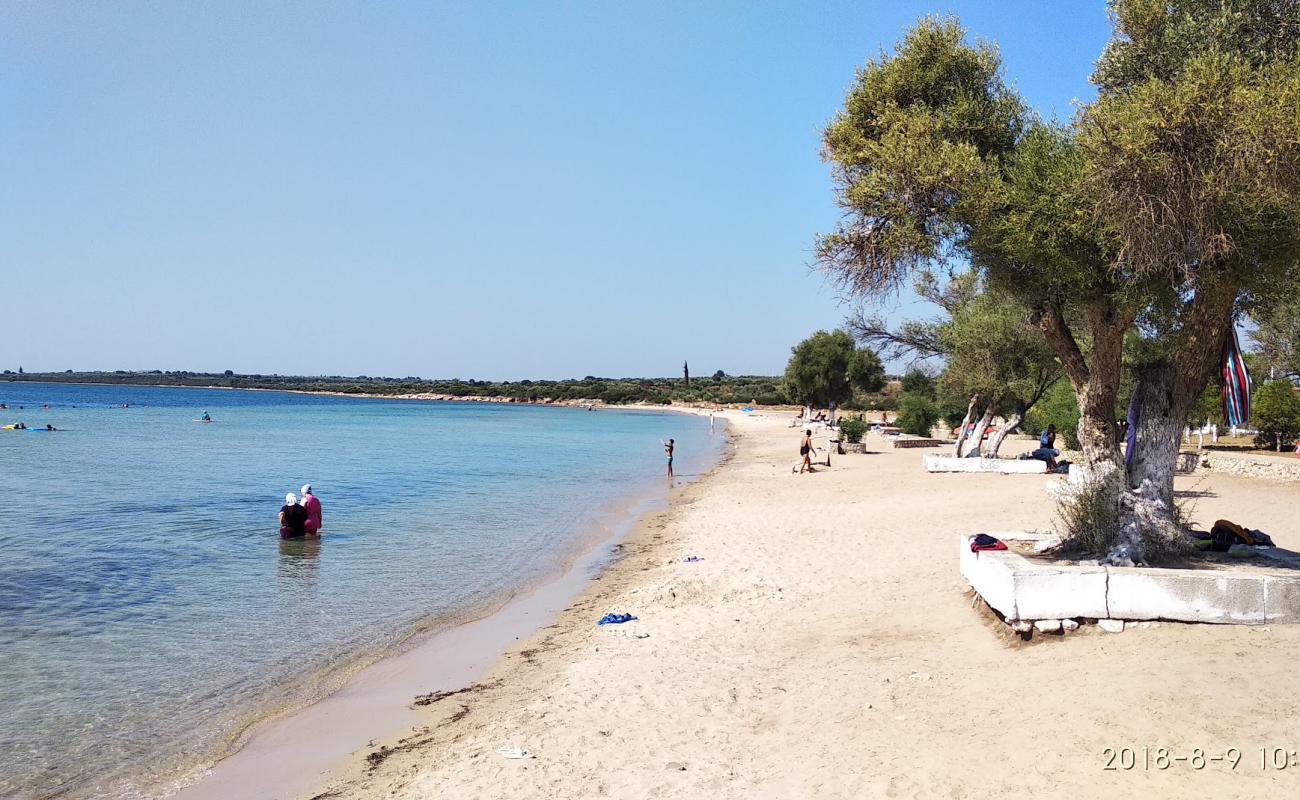 Fevzi Cakmak beach'in fotoğrafı kahverengi kum yüzey ile