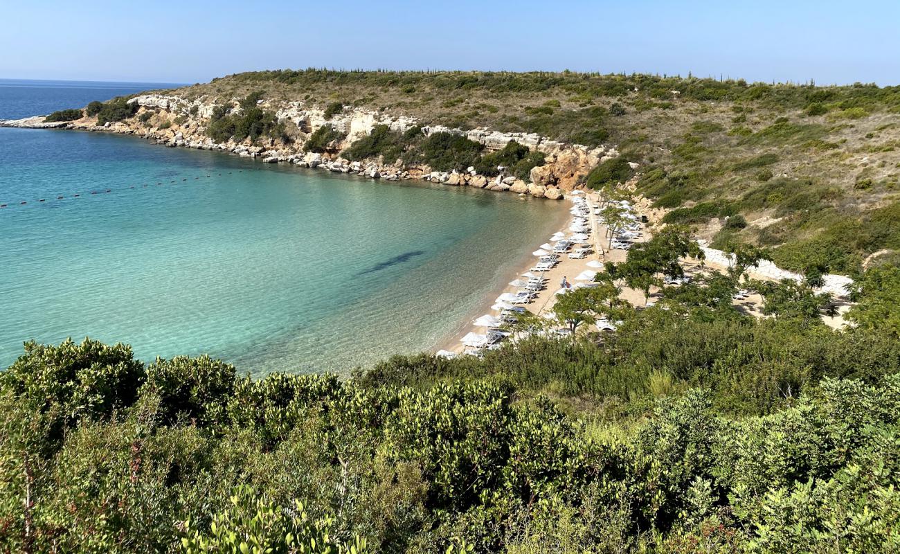 Didim kampı Plajı'in fotoğrafı hafif ince çakıl taş yüzey ile