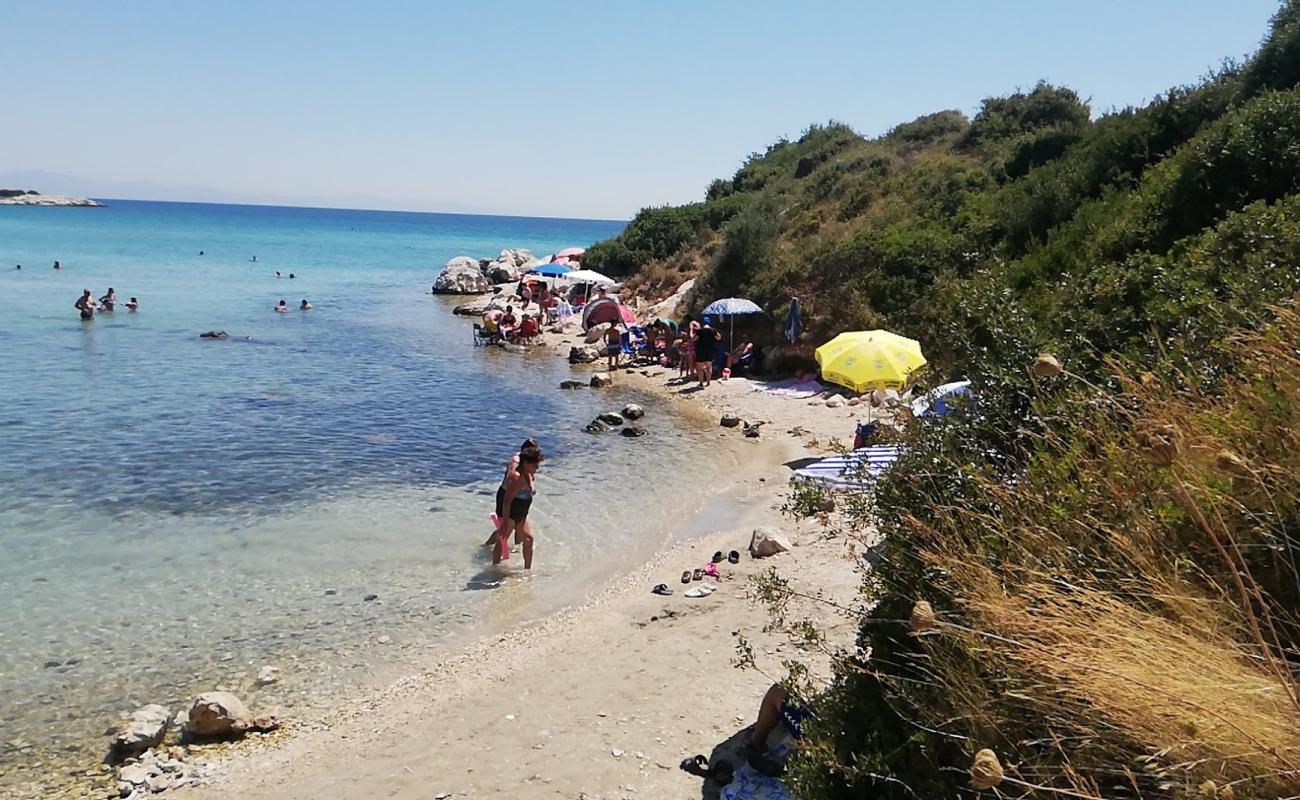 Cennetkoy beach'in fotoğrafı çakıl ile kum yüzey ile