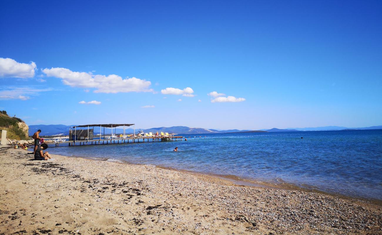 Didim beach IV'in fotoğrafı kahverengi kum yüzey ile