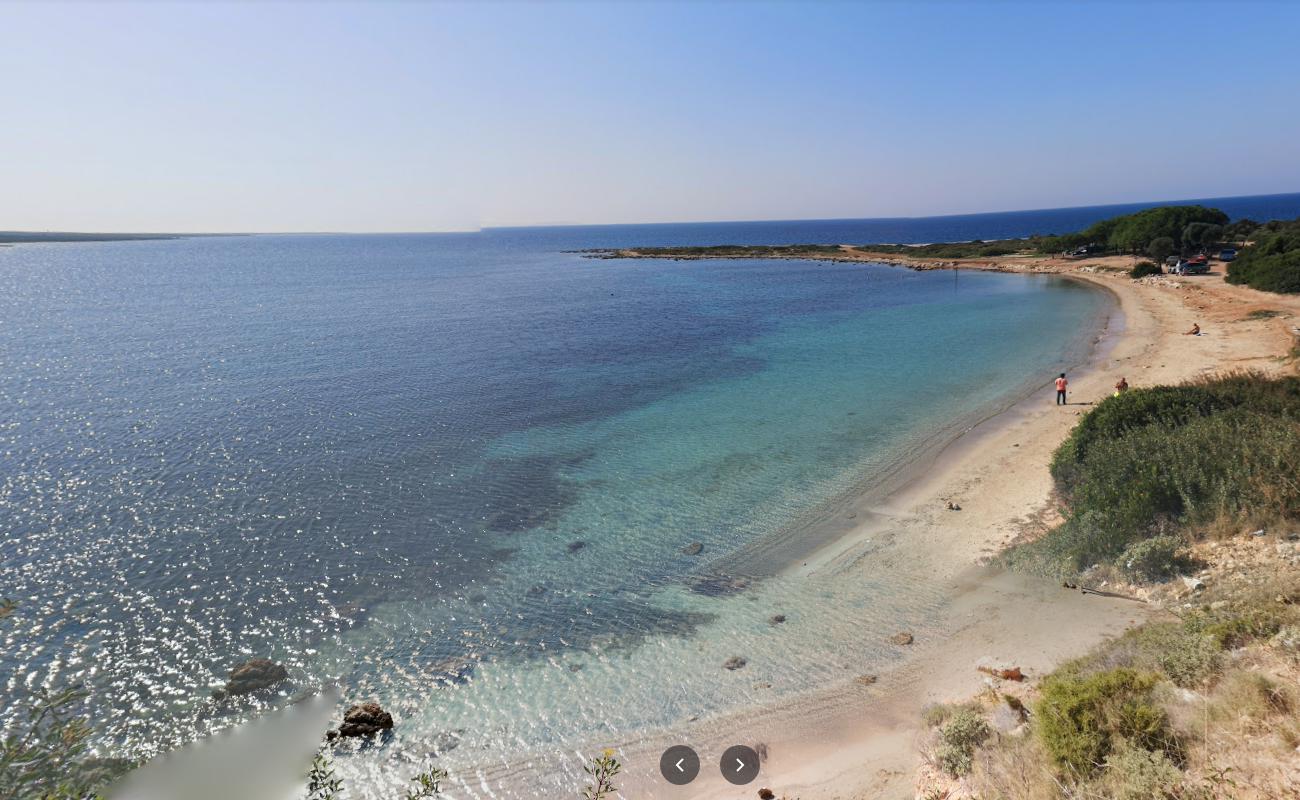 Mustafa Dayının Kamp'in fotoğrafı küçük koy ile birlikte