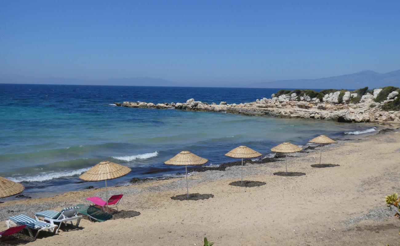 Sarıkum Plajı'in fotoğrafı kahverengi kum yüzey ile