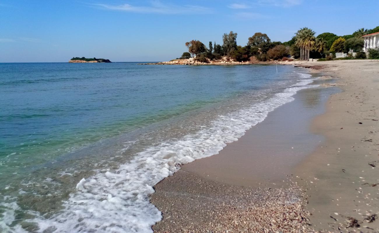 Gulbahce beach'in fotoğrafı parlak kum yüzey ile