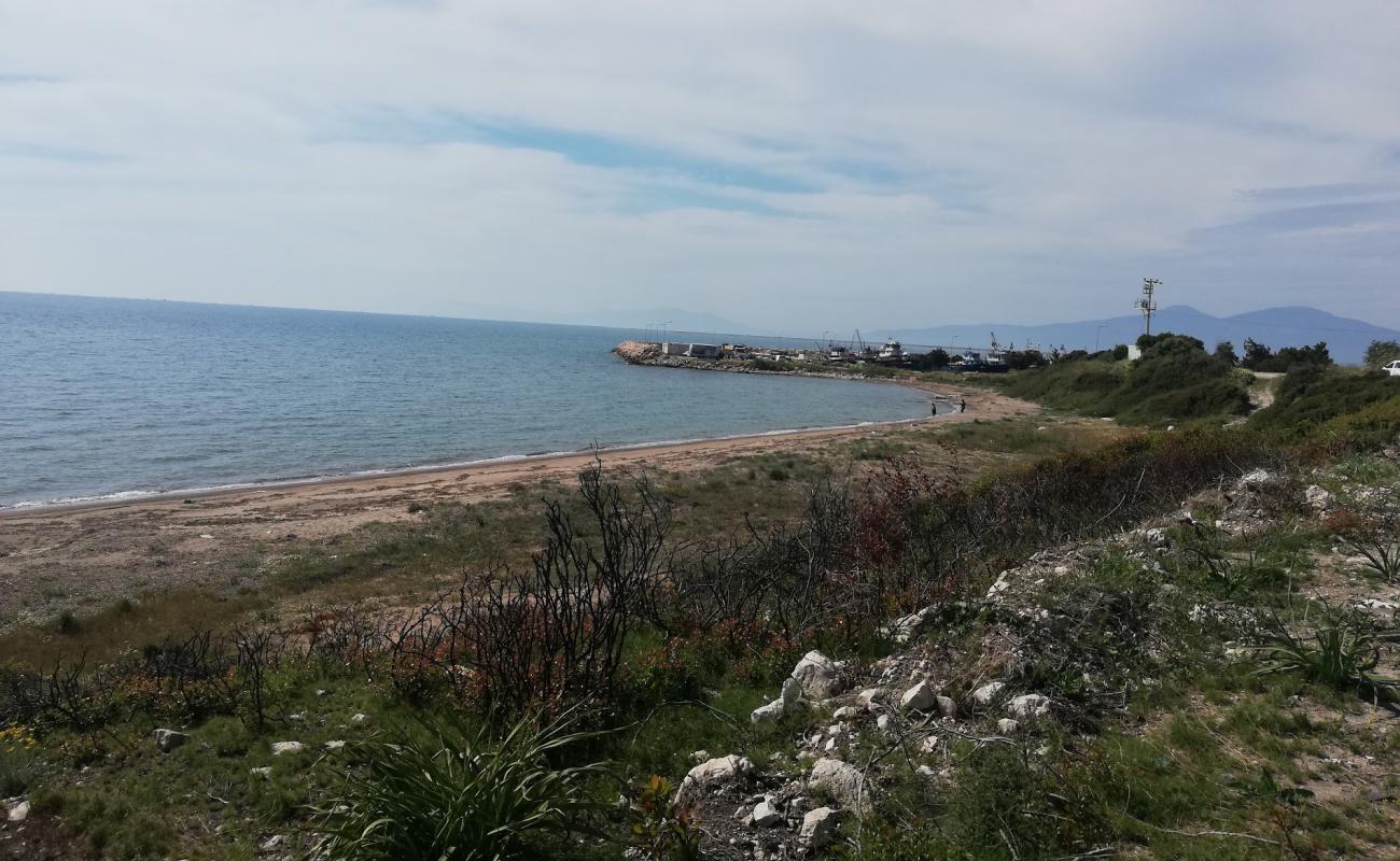 Gulbahce beach IV'in fotoğrafı parlak kum yüzey ile