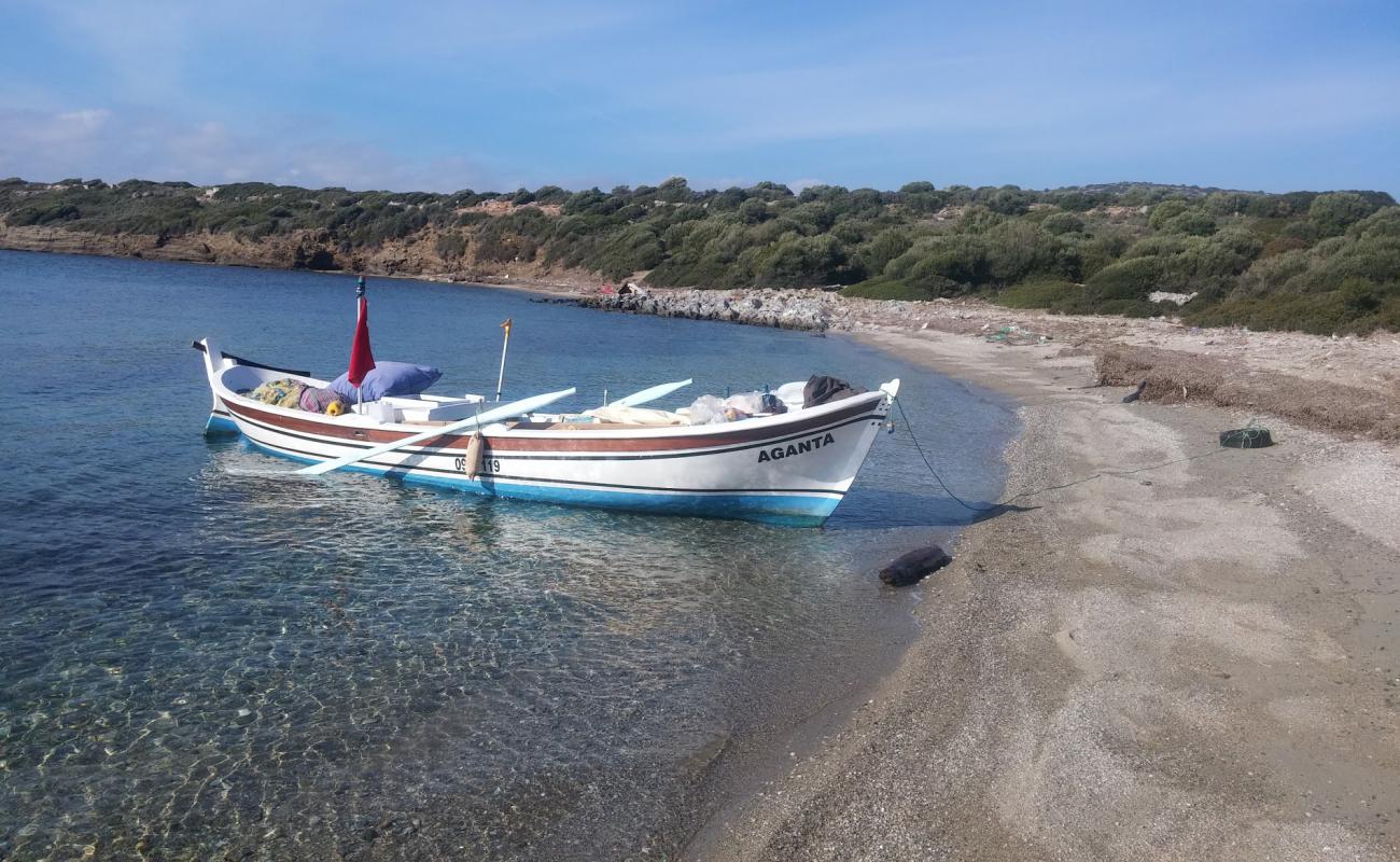 Little Nero Cove'in fotoğrafı hafif ince çakıl taş yüzey ile