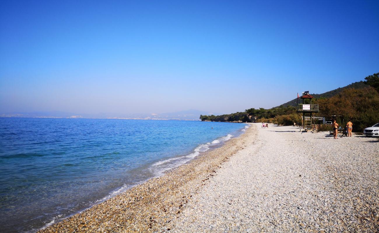 Kalamaki Plaji'in fotoğrafı hafif çakıl yüzey ile