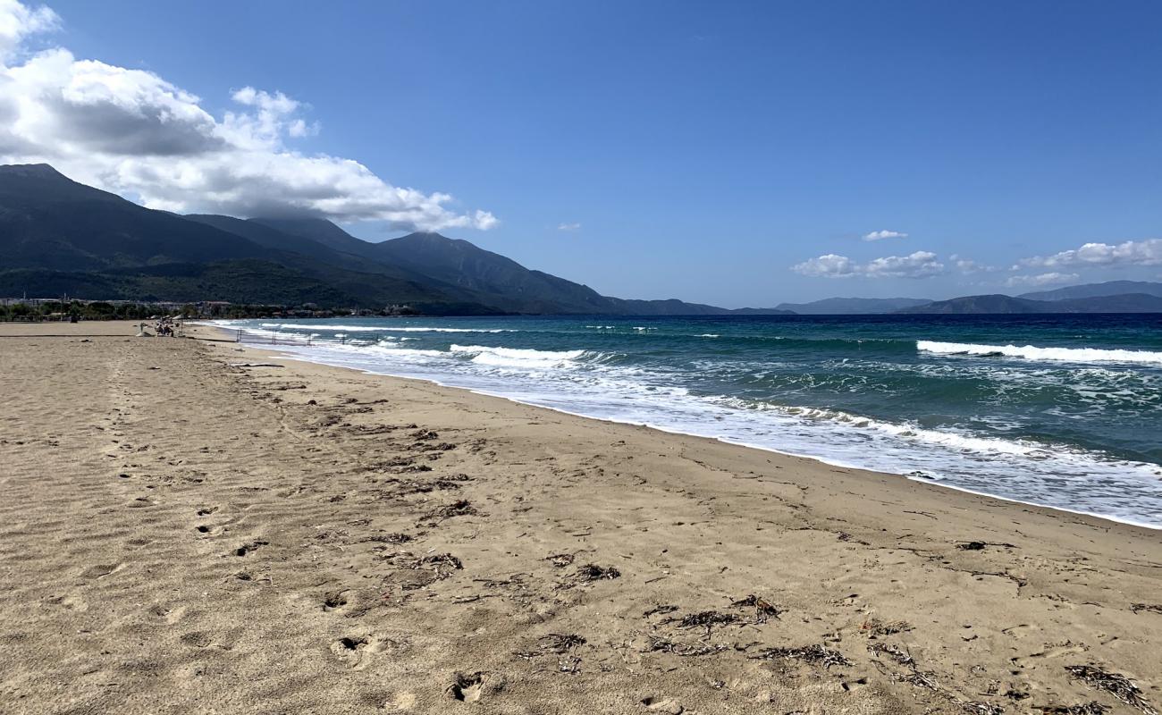 Kusadasi beach'in fotoğrafı parlak kum yüzey ile