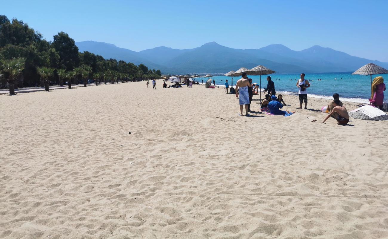 Kusadasi beach II'in fotoğrafı parlak kum yüzey ile