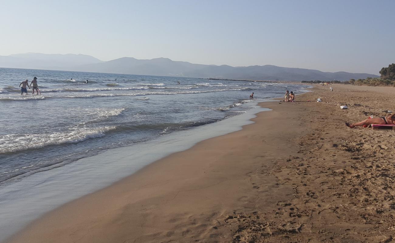 Pamucak beach II'in fotoğrafı kahverengi kum yüzey ile